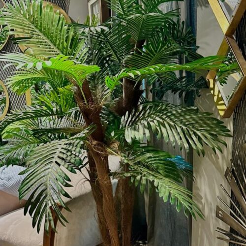 Planta Lecco Set x 3 195 cm