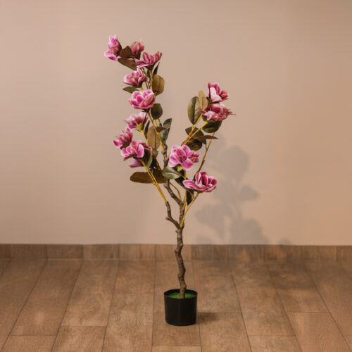 Planta Lupaca (Color Violeta)