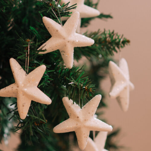 Articulo de Navidad Holy