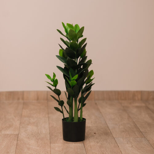 Planta Temuco 70 Cm 70 cm