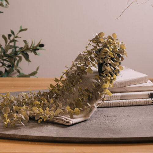 Planta Colgante  58 x 9 cm