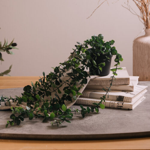 Planta Colgante (Color Verde Oscuro) 58 x 9 cm