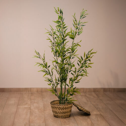 Planta Mongu 150 cm