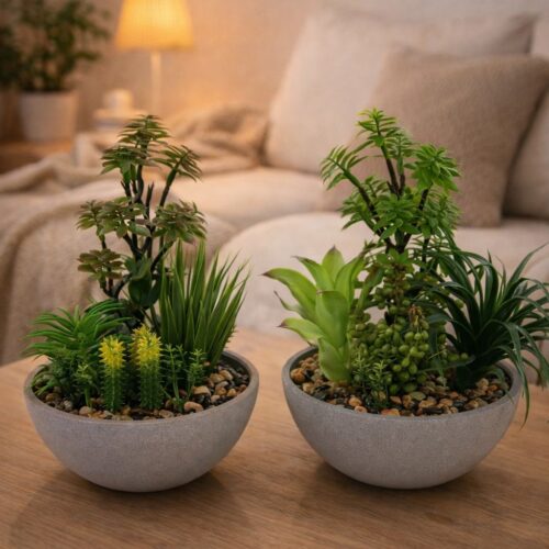 Planta Taiping 16 x 23 Cm